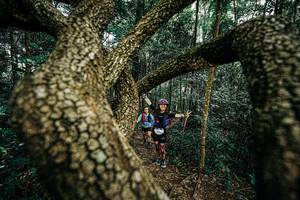 BIB: 
                            <button type="button" onclick="openModal(25393337)" class="btn btn-primary btn-sm float-right btn-popup" data-toggle="modal" data-target=".modal-high-quality">
                        <i class="fas fa-shopping-cart"></i> Add to Cart
                    </button>
                                            <button type="button" onclick="isThisMe(25393337, true)" class="btn btn-success btn-sm float-right btn-popup btn-isme hidden" data-toggle="tooltip" data-placement="bottom" title="นี่คือรูปของคุณใช่ไหม คลิกที่นี่เพื่อเอาเข้าอัลบั้ม">
                        <i class="fas fa-plus"></i> Add to album
                    </button>
                    <button type="button" onclick="isThisMe(25393337, false)" class="btn btn-warning btn-sm float-right btn-popup btn-isnotme hidden">
                        <i class="fas fa-ban"></i> Remove from album
                    </button>